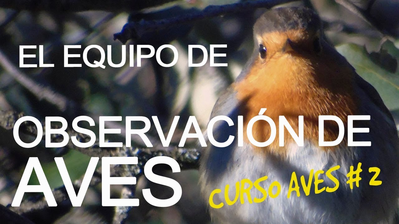 eventos observacion ornitologica 2